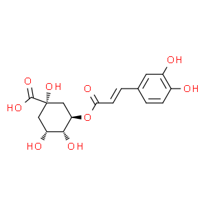 绿原酸；3-咖啡酰奎尼酸