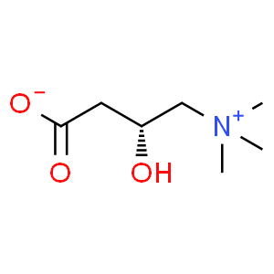 左旋肉碱(左卡尼汀)